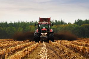 Compost strooien - Carlijn Brink