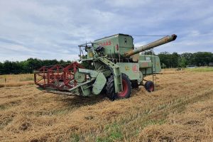 Claas Matador Gigant hapert geen moment en dorst ouderwetse granen