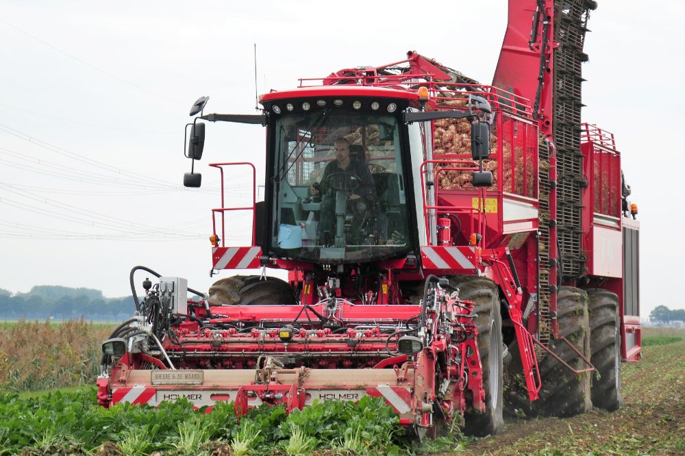 Fotoreportage: Volle bak rooien in de zware klei met Holmer T4 40