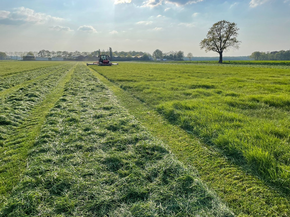 Inkuilmiddelen: Je houdt meer over, wat beter wordt opgenomen