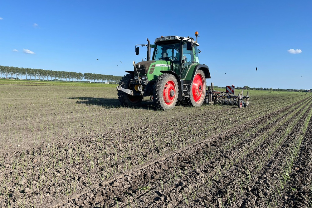 Nat voorjaar vraagt om andere kijk op schoffelen